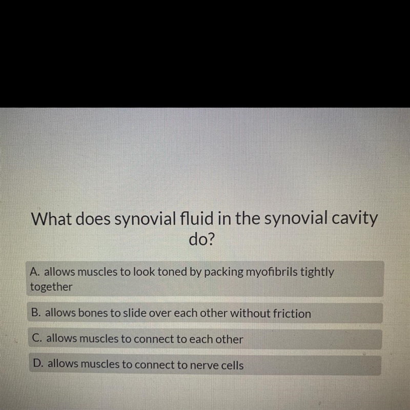 What does synovial fluid in the synovial cavity do?-example-1