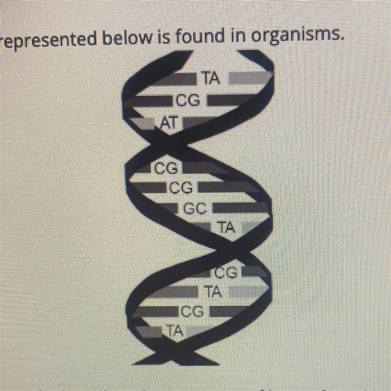 The type of molecule represented below is found in organisms. Which statement correctly-example-1