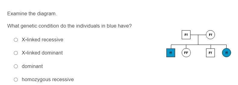 Examine the diagram. What genetic condition do the individuals in blue have?-example-1