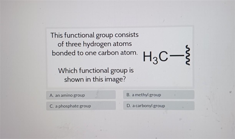 A. an amino group B. a methyl group C. a phosphate group D. a carbonyl group​-example-1