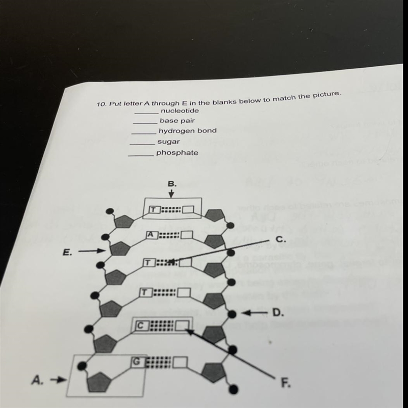 I need help please help me-example-1