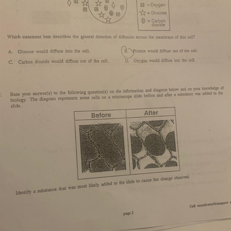 Base your answer(s) to the following question(s) on the information and diagram below-example-1