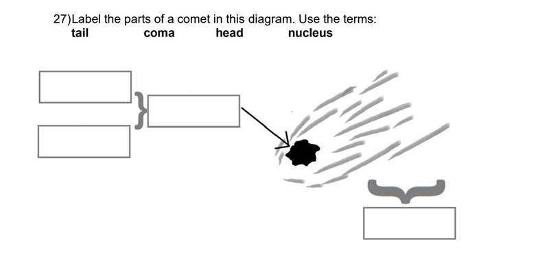 Label this diagram with these 4 words-example-1