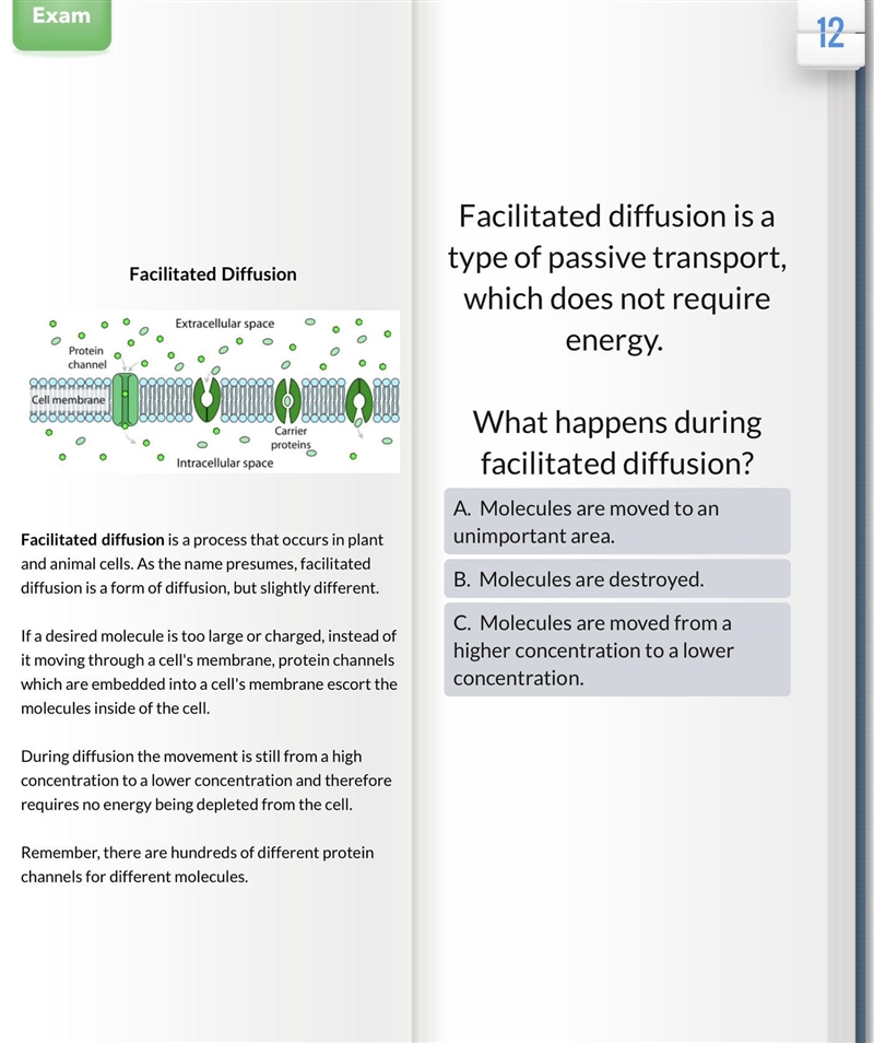 Facilitated diffusion is a type of passive transport, which does not require energy-example-1