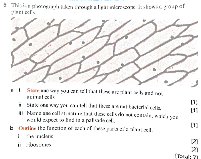 Answer these 2 questions please​-example-1