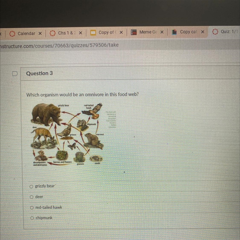 Which organism would be an omnivore in this food web - grizzly bear -deer -Red tailed-example-1