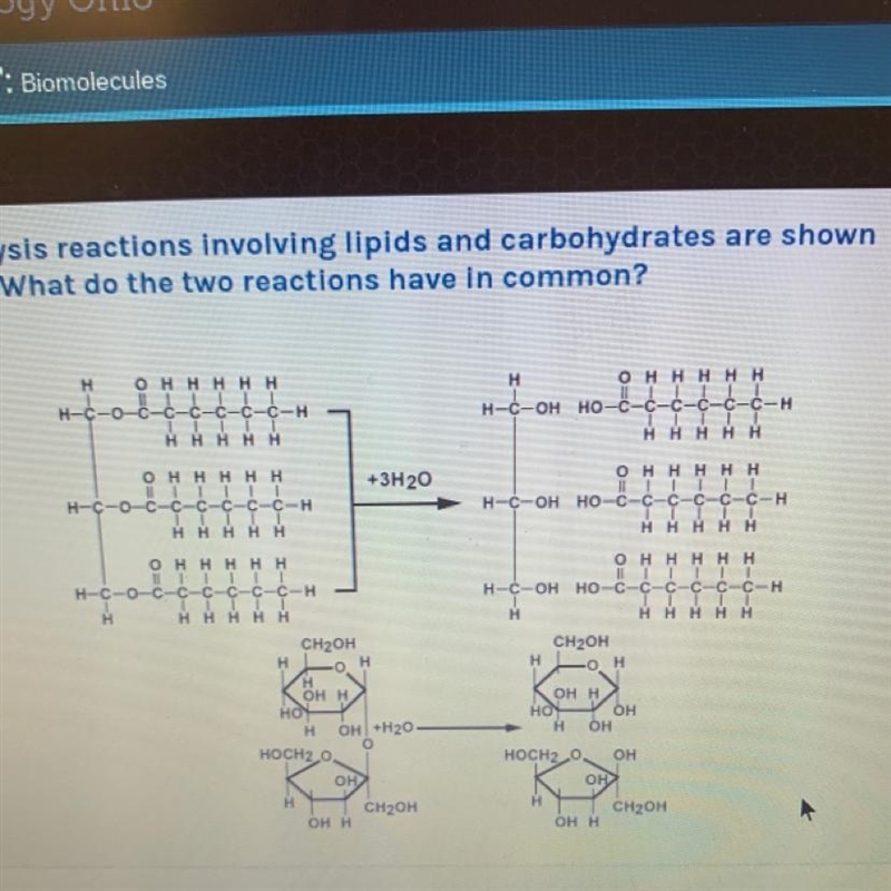 Hydrolysis reactions involving lipids and carbohydrates are shown below. What do the-example-1