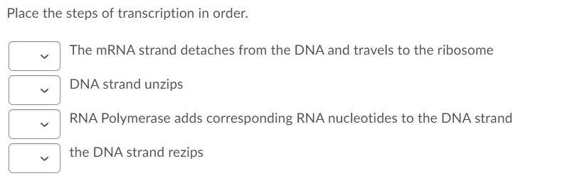 HELP PLZ 100 POINTS im not sure what goes where please help me-example-2