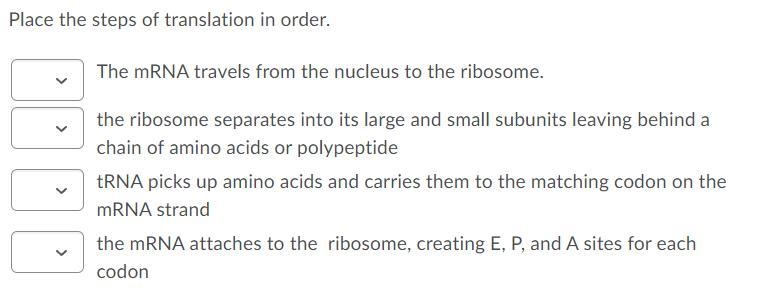 HELP PLZ 100 POINTS im not sure what goes where please help me-example-3