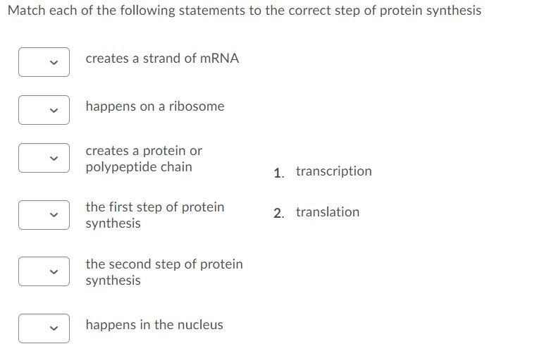 HELP PLZ 100 POINTS im not sure what goes where please help me-example-4