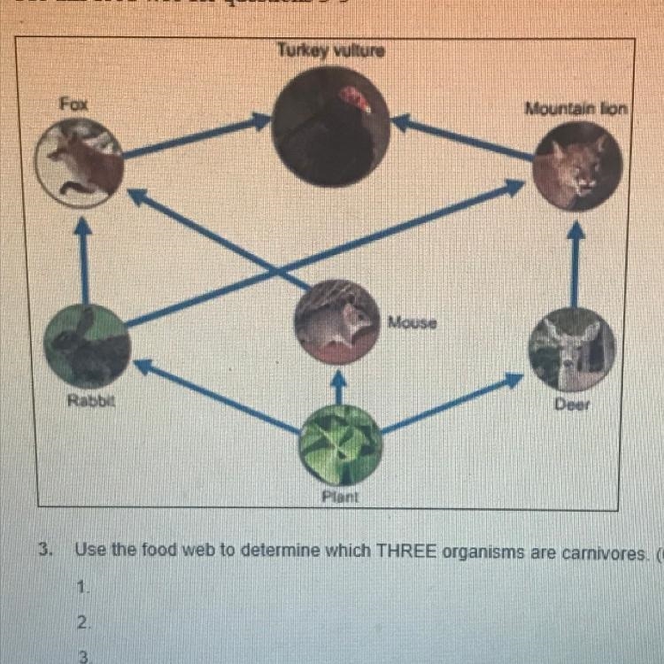 Three organisms that are carnivores-example-1