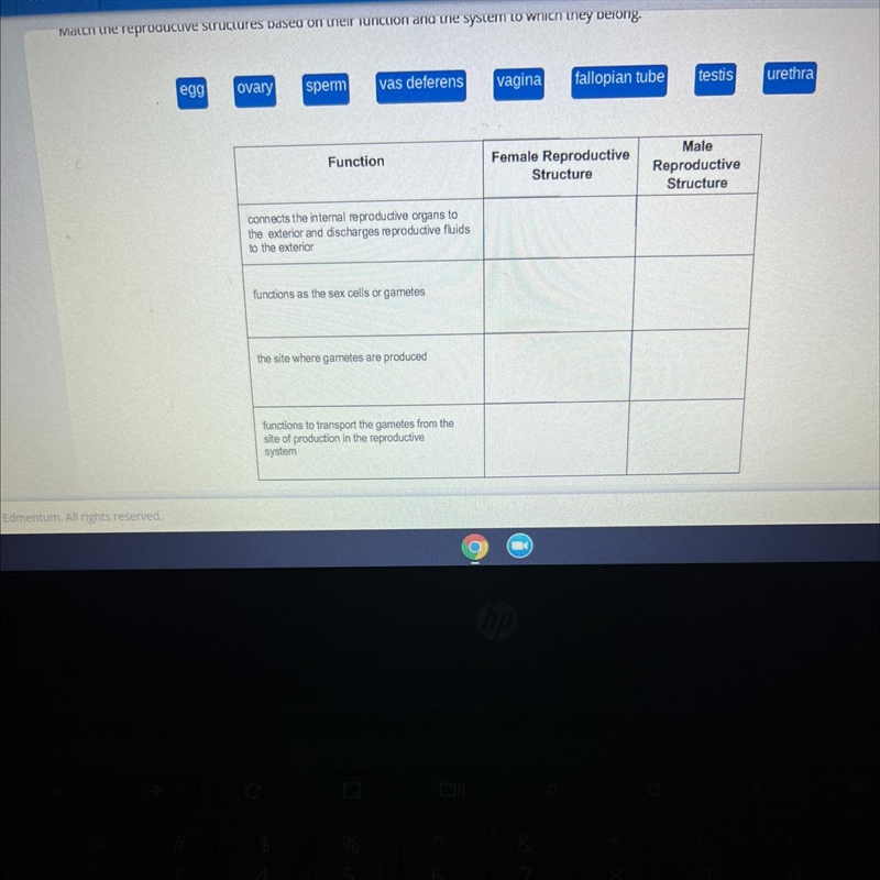 Match the reproductive structures based on their function and the system to which-example-1