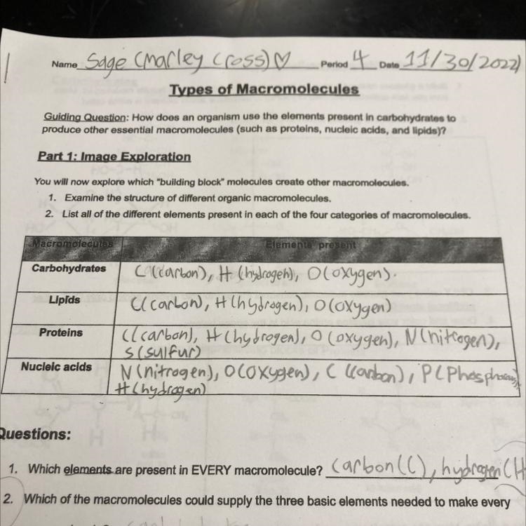 Please help!! Which of the macromolecules could supply the three basic elements needed-example-1