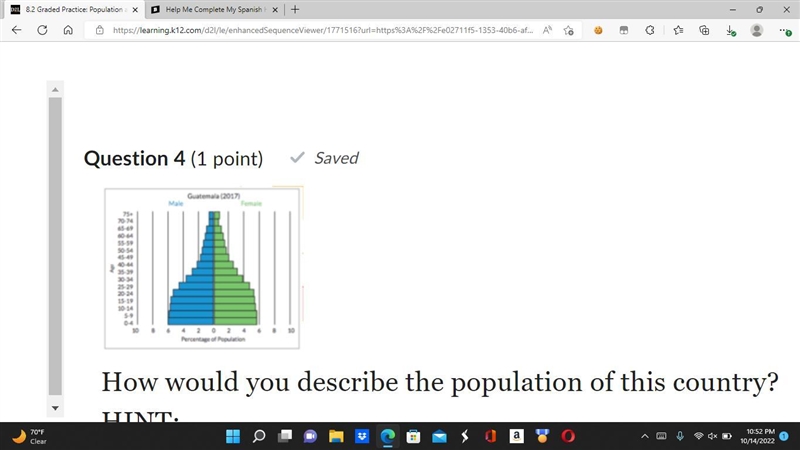 How would you describe the population of this country? analyze population pyramids-example-1