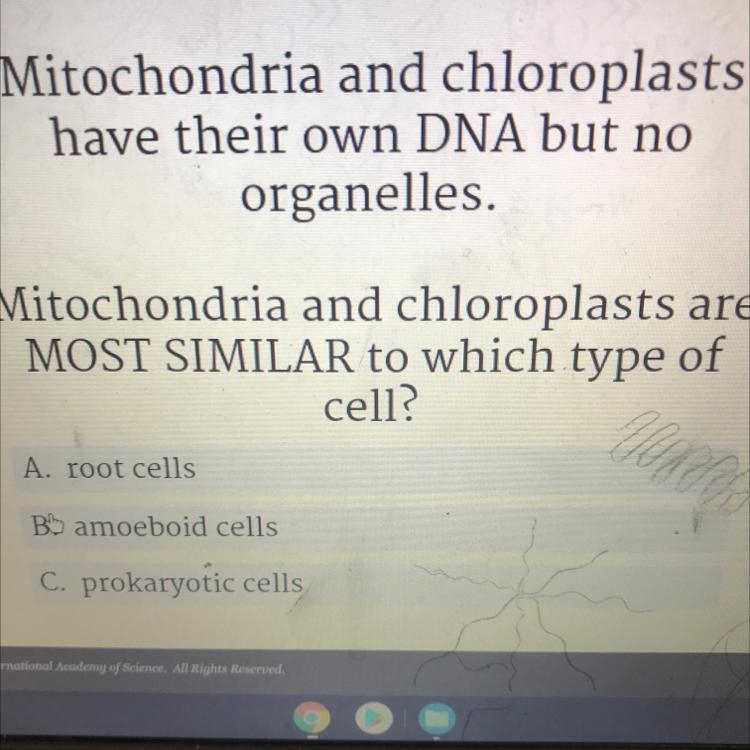 Mitochondria and chloroplasts have their own DNA but no organelles. Mitochondria and-example-1