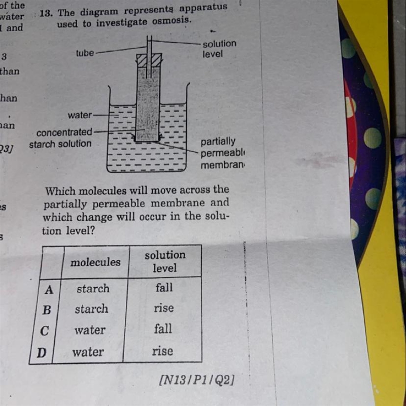 The diagram represents apparatus used to investigate osmosis pls help pls pls pls-example-1