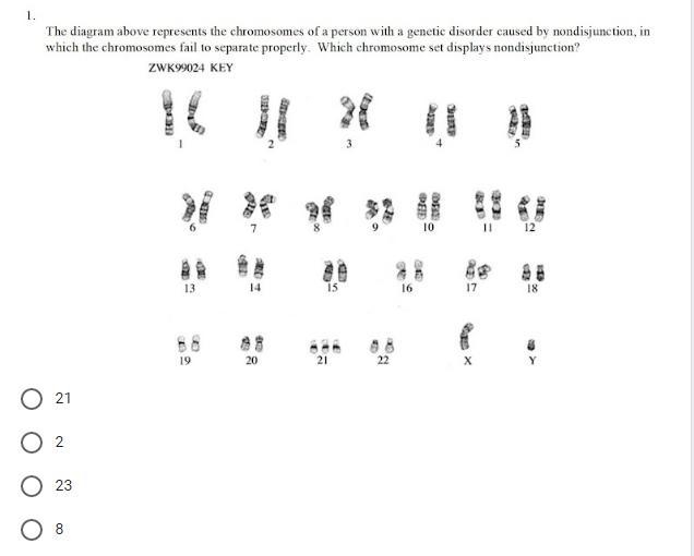 HELP!! PLEASE!!! 10 POINTS-example-1