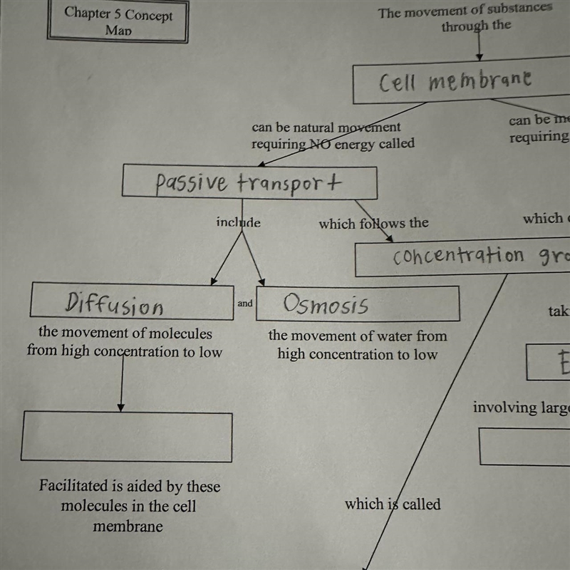 Hi, could someone tell me what should be in the blank space of my concept map about-example-1