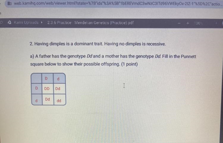 Describe the genotype ratio for their offspring? describe the phenotype ratio for-example-1