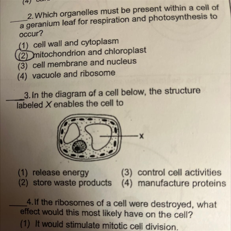 3. In the diagram of a cell below, the structure labeled X enables the cell to 2 (1) release-example-1