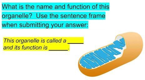 PLEASE I know this is simple but can you just give me the answer I need to bring my-example-1