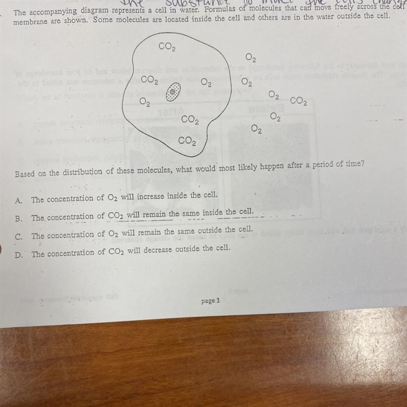 Based on the distribution of these molecules, what would most likely happen after-example-1