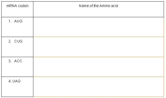 Using the mRNA codons, identify the amino acids. (1 POINT)-example-1