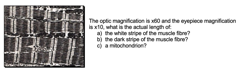 I need help with this biology question 35 points-example-1