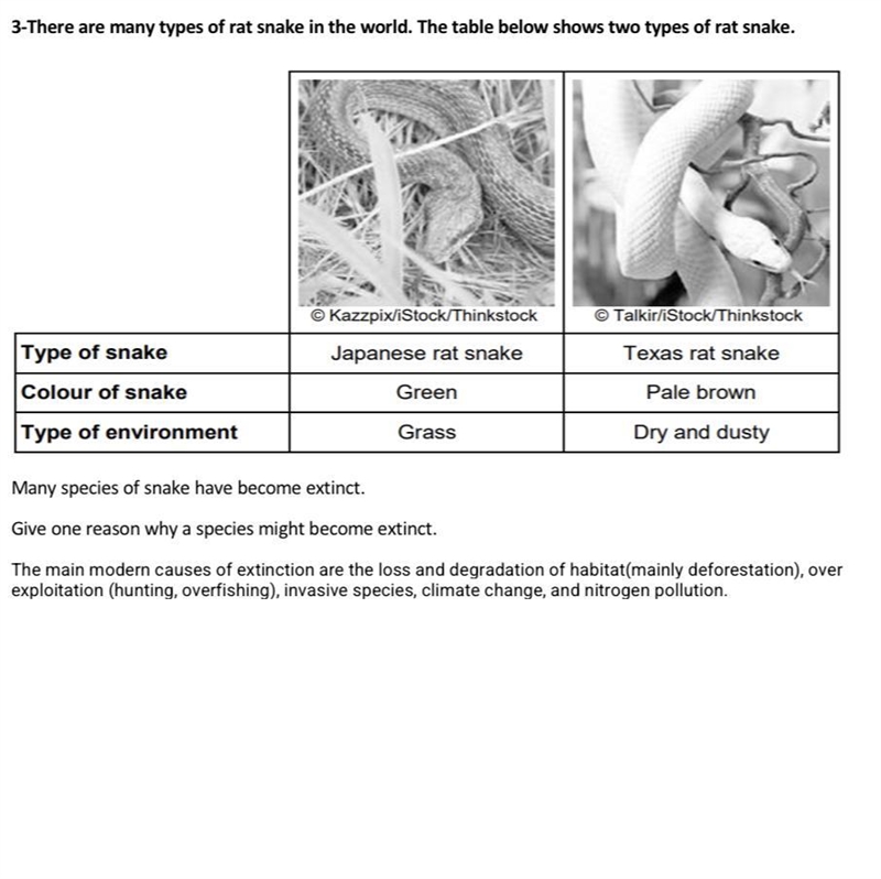 Help me with this question-example-1