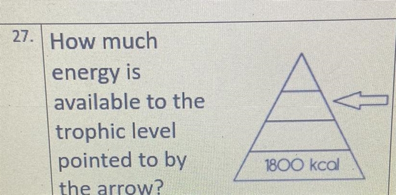 Can someone help me with this question? Thank you!!-example-1