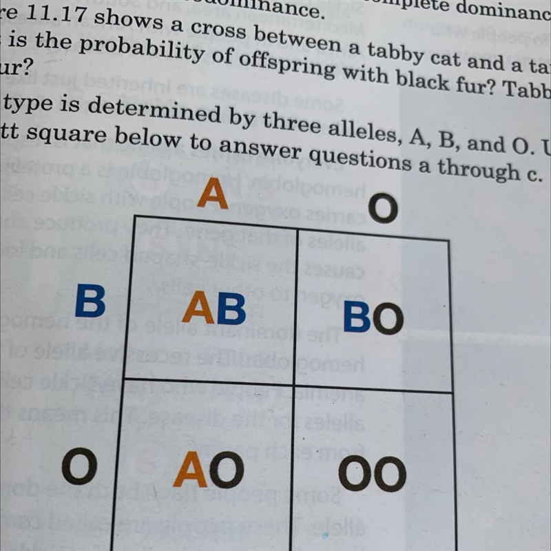 6. Blood type is determined by three alleles, A, B, and O. Use the punnett square-example-1