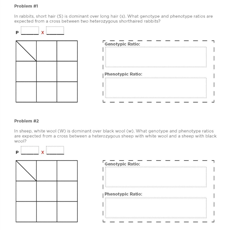 Solving monohybrid problems. please fill out the two worksheets!!! :)-example-1