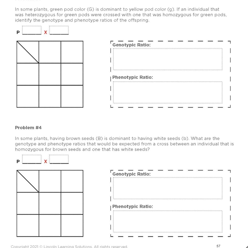 Solving monohybrid problems. please fill out the two worksheets!!! :)-example-2