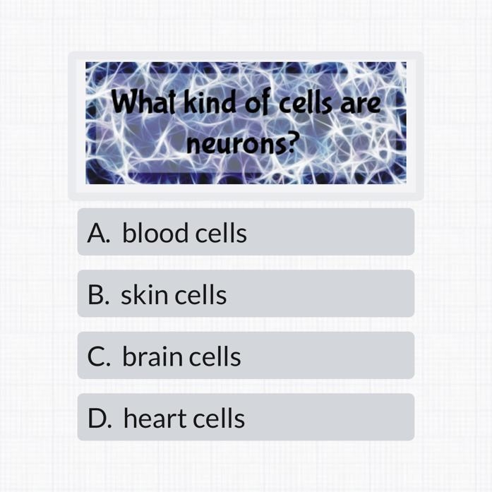 PLSSS HELP IF YOU TURLY KNOW THISS-example-1