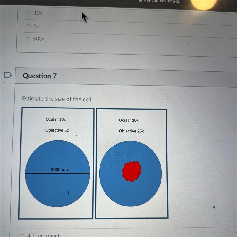 Estimate the size of the cell.-example-1