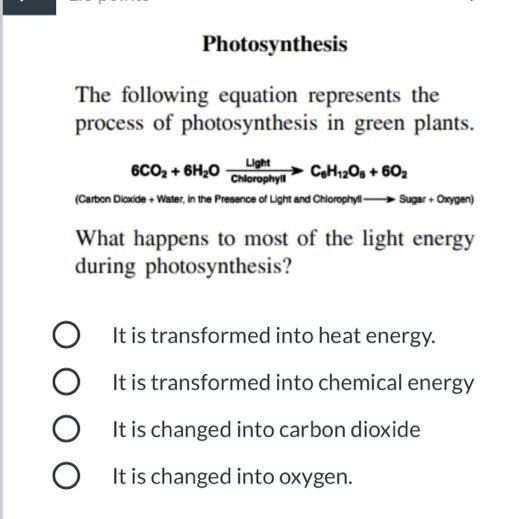 What is the answer pls-example-1