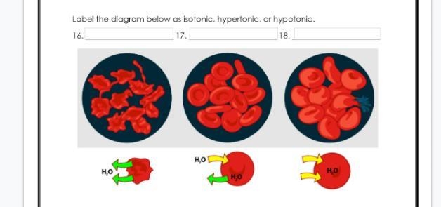 Label the diagram cell biology-example-1