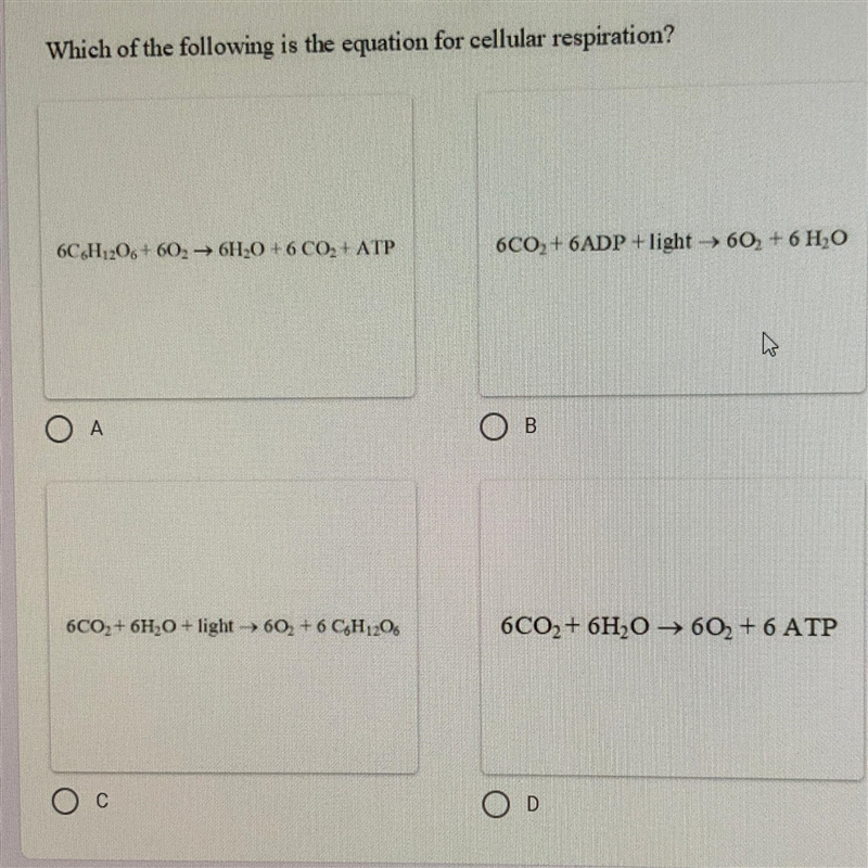 Which of the following is the equation for cellular respiration? 6C6H12O6+60₂6H₂O-example-1