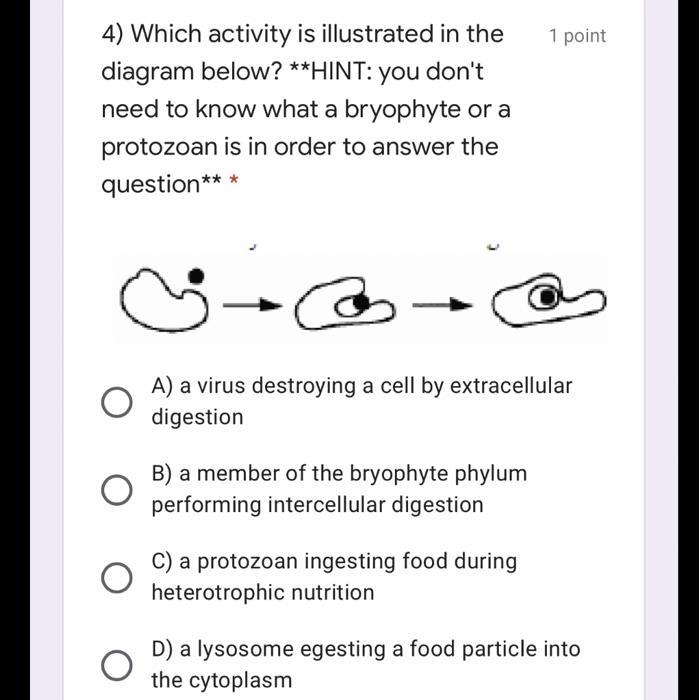 Which activity is illustrated in the diagram below? **HINT: you don't need to know-example-1