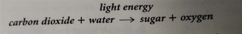 What process is illustrated by the equation shown above?​-example-1