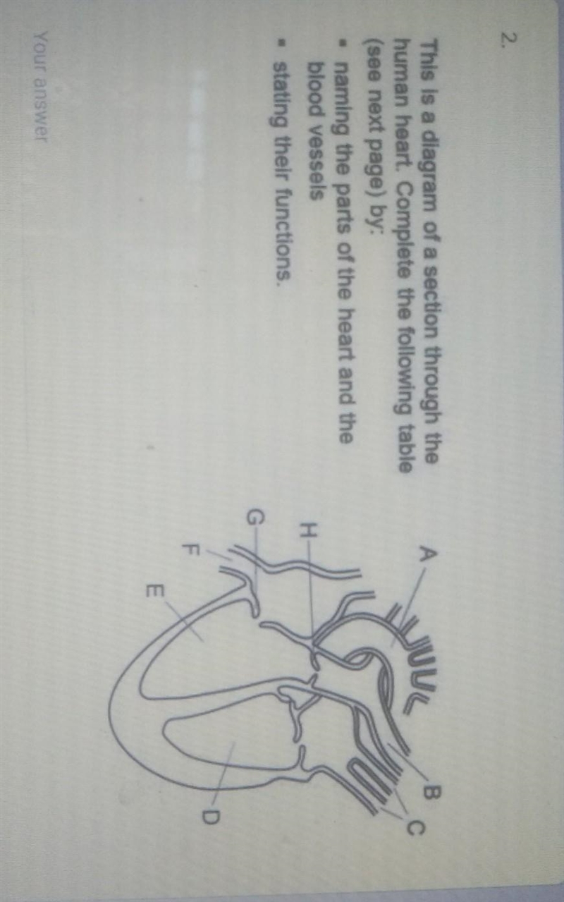 Pls answer this it's due today​-example-1