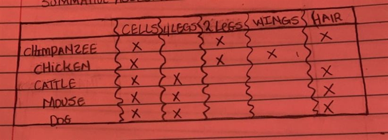 Can someone help make a cladogram out of this-example-1