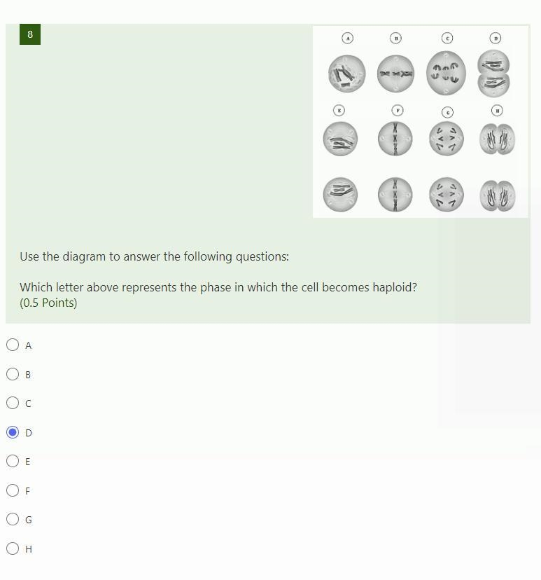 Help plsssssssssssssssssssssssssssssssssss Use the diagram to answer the following-example-1