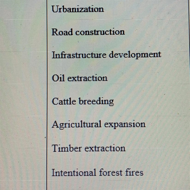 Do you think there may be other effects besides deforestation caused by the human-example-1