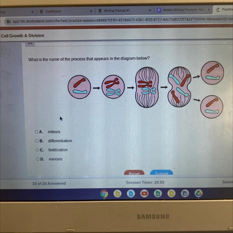 What is the name of the process that appears in the diagram below?-example-1