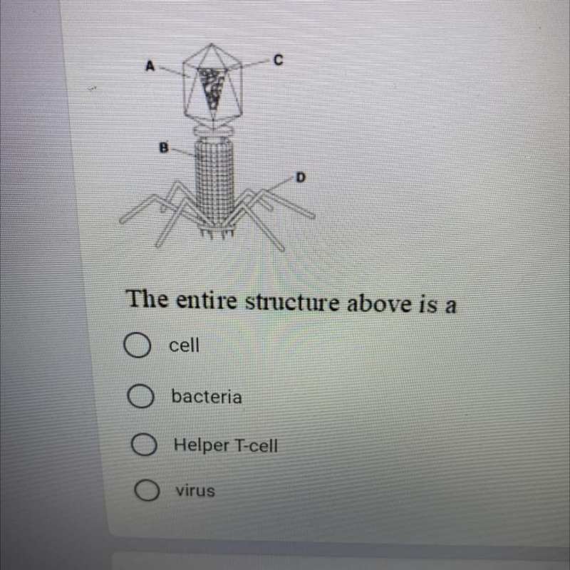 The entire structure above is a ￼-example-1