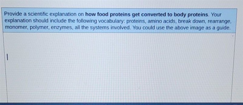 How food proteins get converted to body proteins? ​-example-1