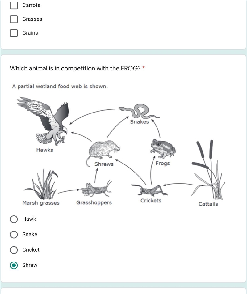 Which animal is in competition with the FROG? * A partial wetland food web is shown-example-1