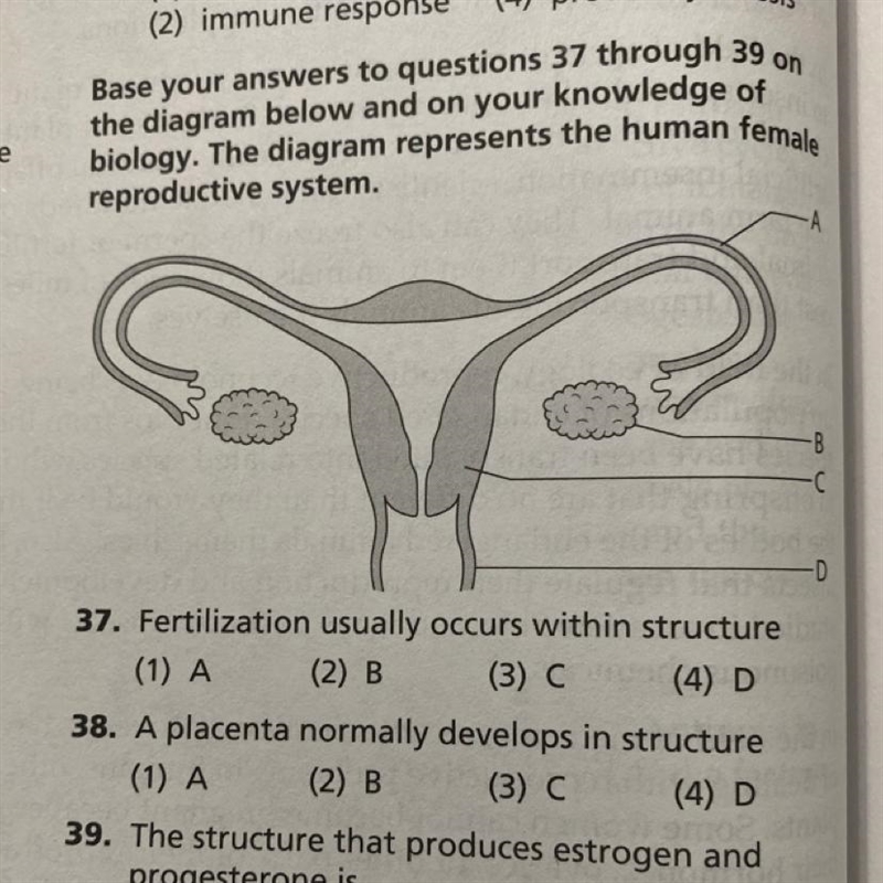 Can someone please help with number 38-example-1