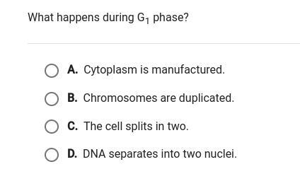 Can u pls help me gosh 17 if u get it right-example-1